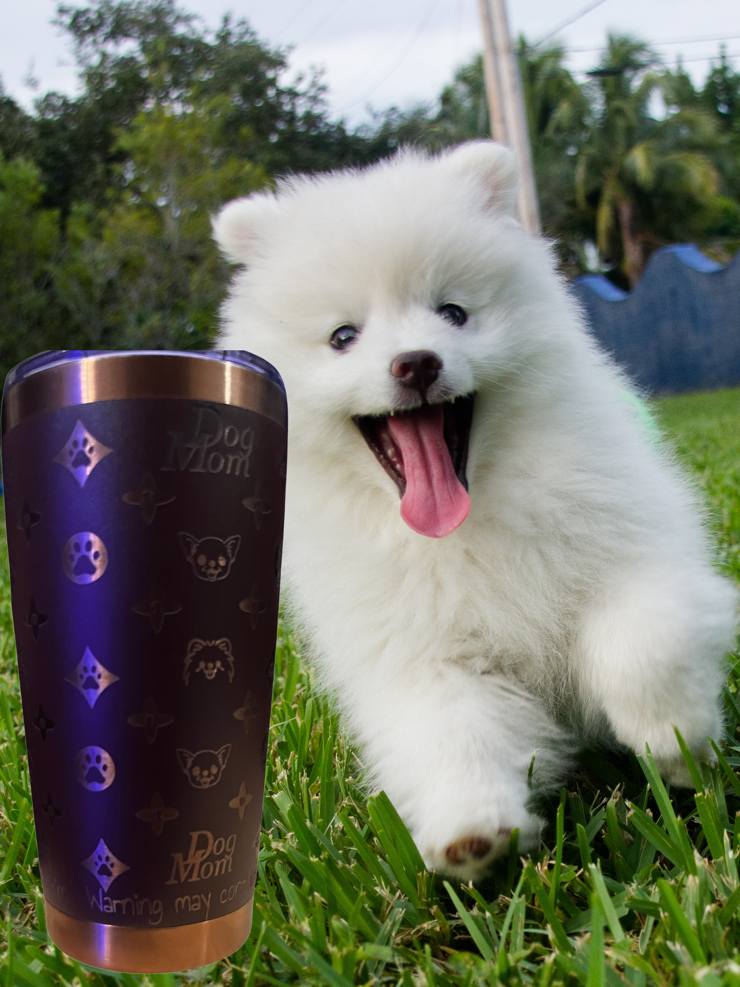 Dog Lovers Spillproof 20oz Tumbler