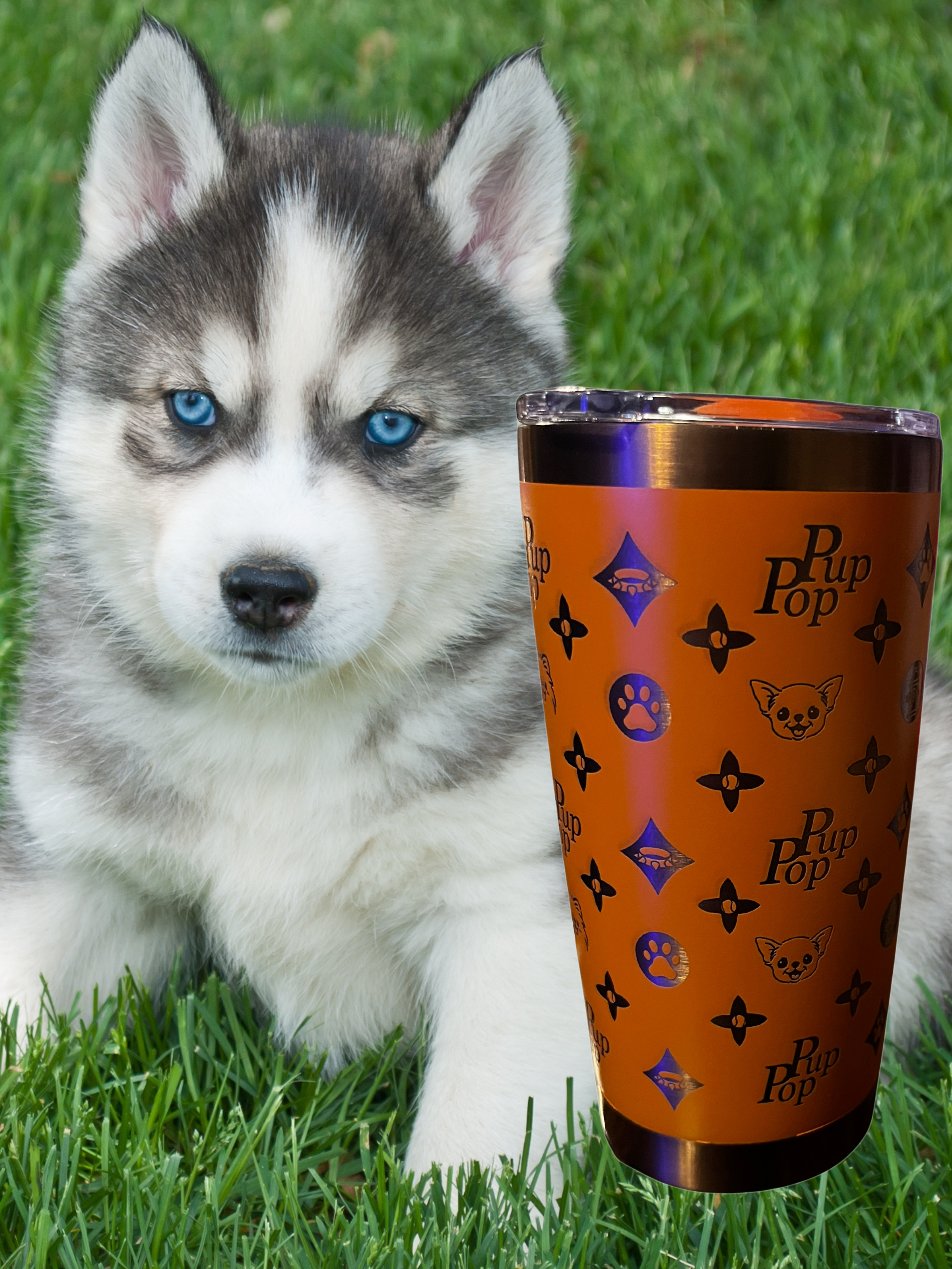 Dog Lovers Spillproof 20oz Tumbler