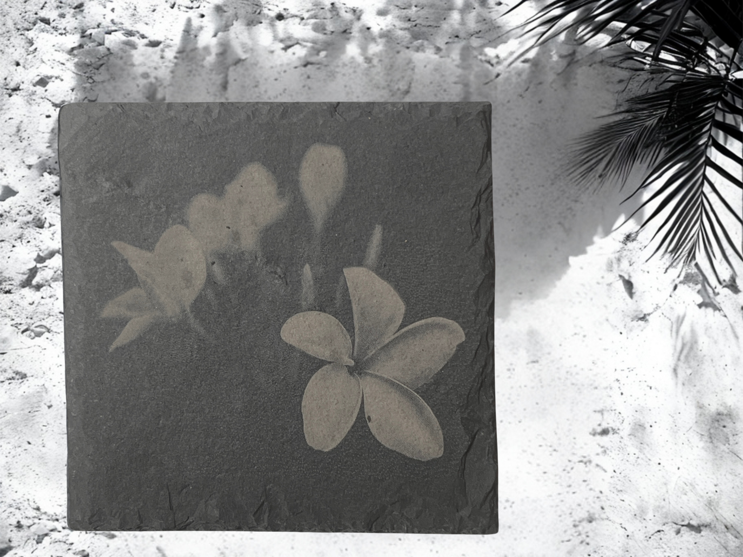 Bloom & Slate: Set of 4 Floral Slate Coasters with Wooden Stands